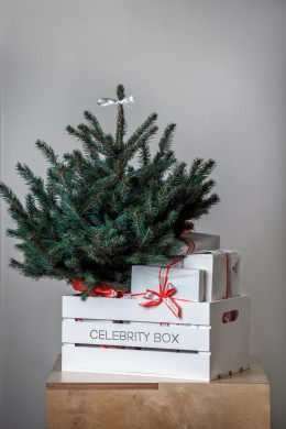 Celebrity-box